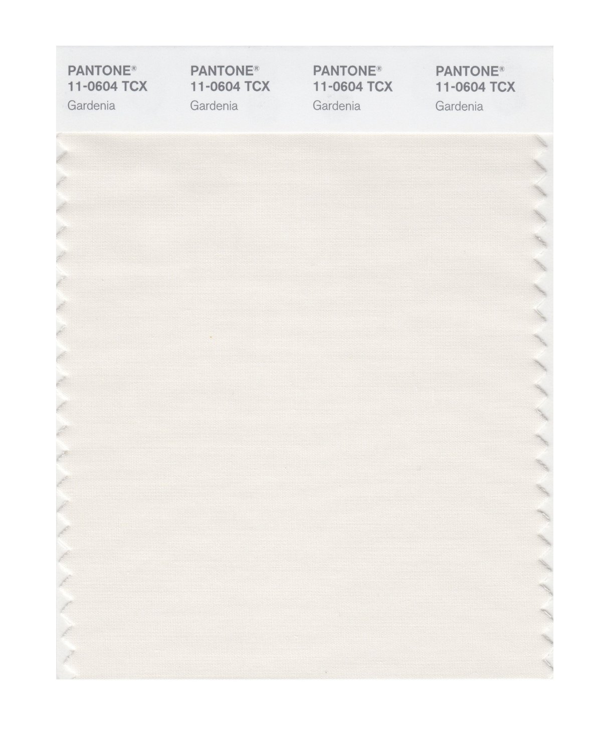 Pantone Cotton Swatch 11-0604 Gardenia