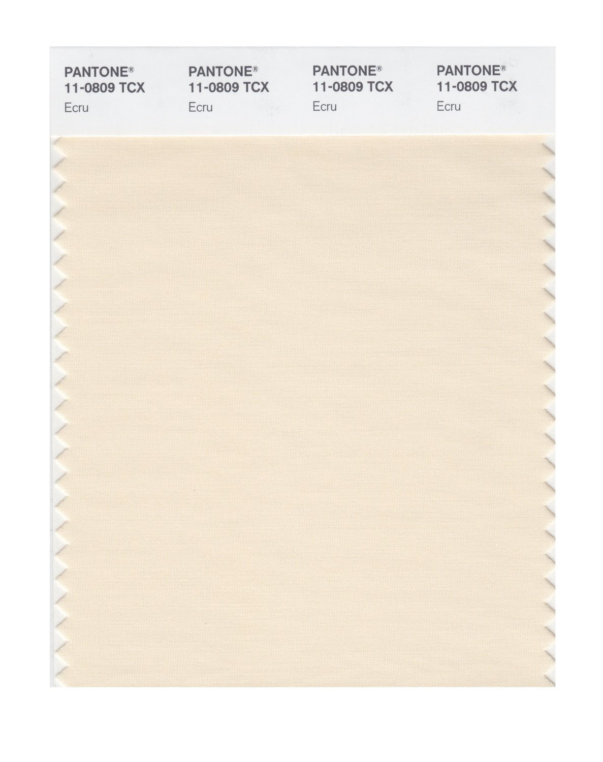 Pantone Cotton Swatch 11-0809 Ecru