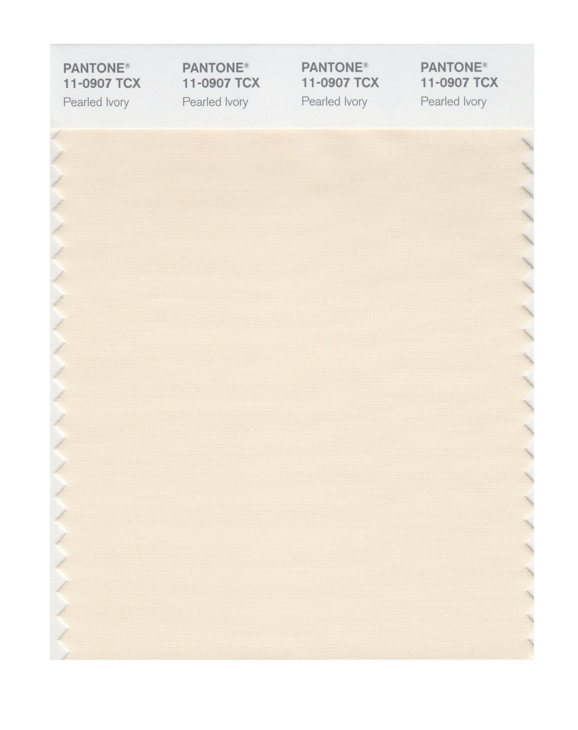 Pantone Cotton Swatch 11-0907 Pearled Ivory