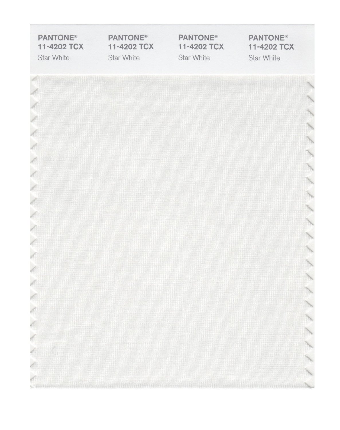 Pantone Cotton Swatch 11-4202 Star White