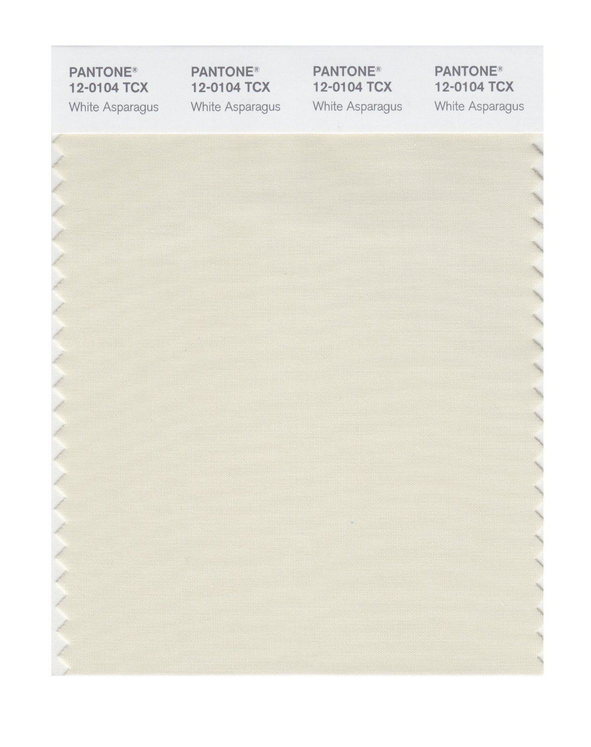 Pantone Cotton Swatch 12-0104 White Asparagus