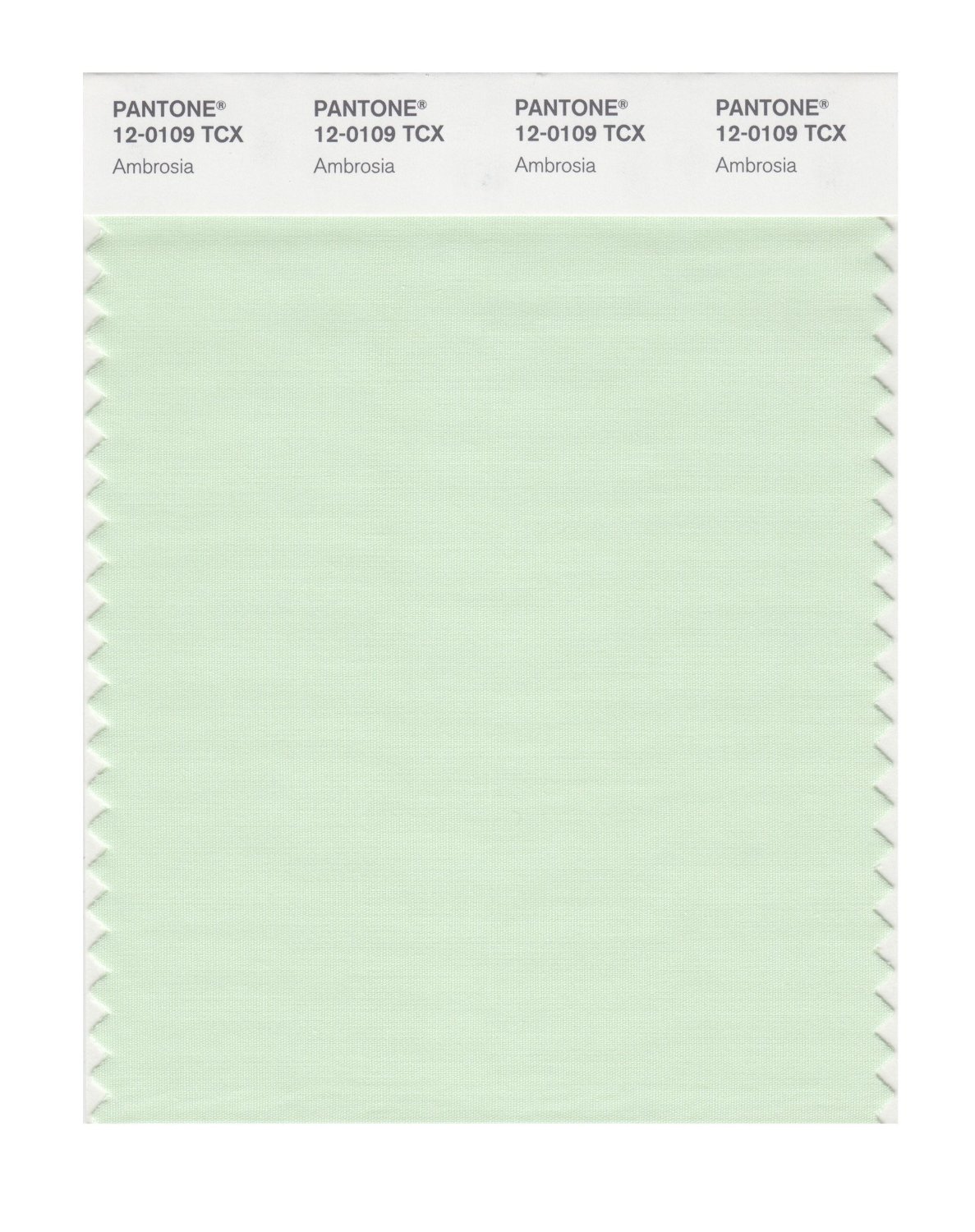 Pantone Cotton Swatch 12-0109 Ambrosia