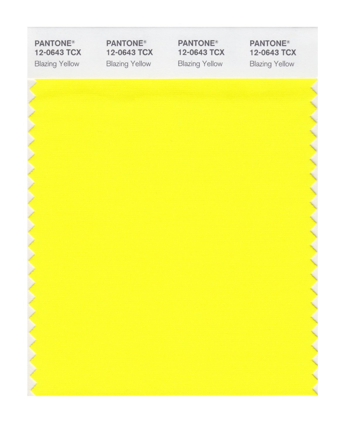 Pantone Cotton Swatch 12-0643 Blazing Yellow