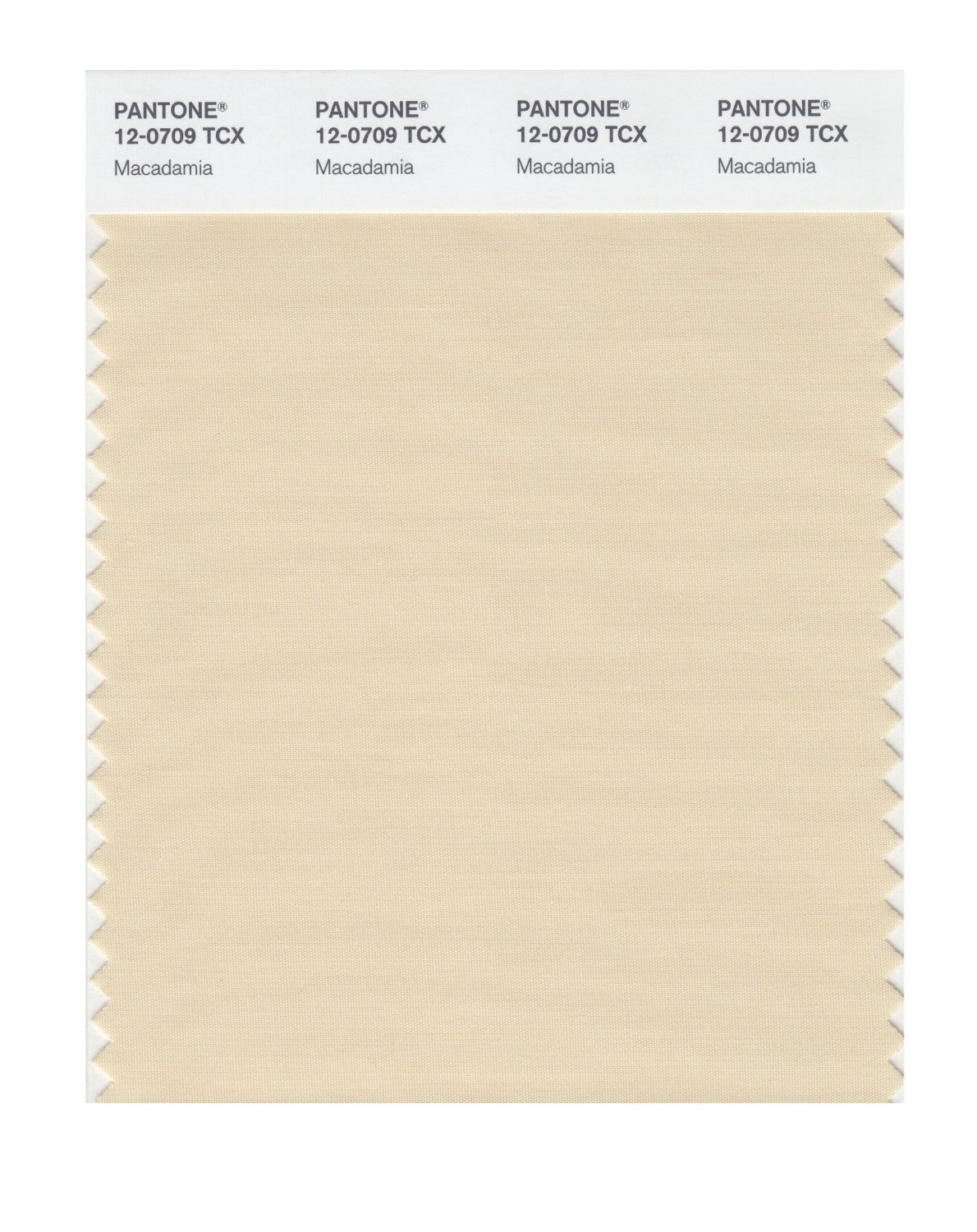 Pantone Cotton Swatch 12-0709 Macadamia