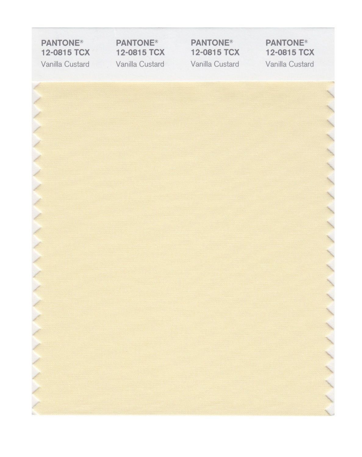 Pantone Cotton Swatch 12-0815 Vanilla Custard