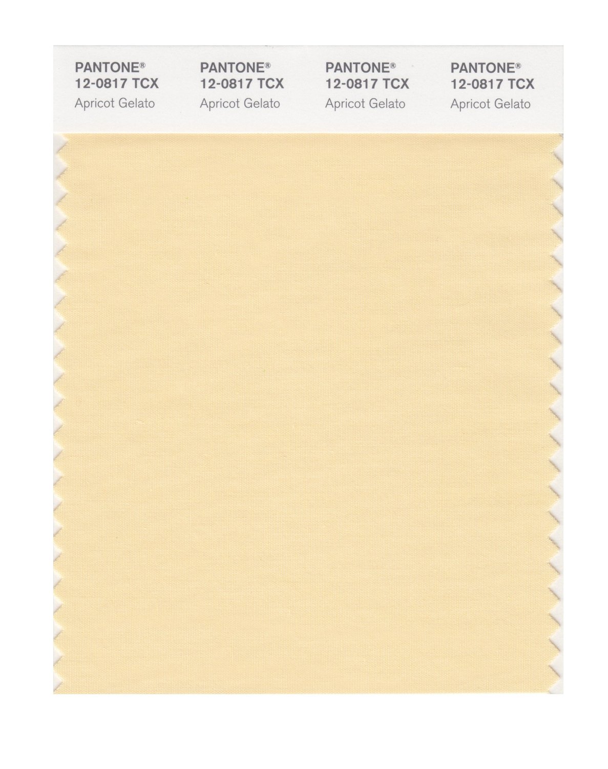 Pantone Cotton Swatch 12-0817 Apricot Gelato