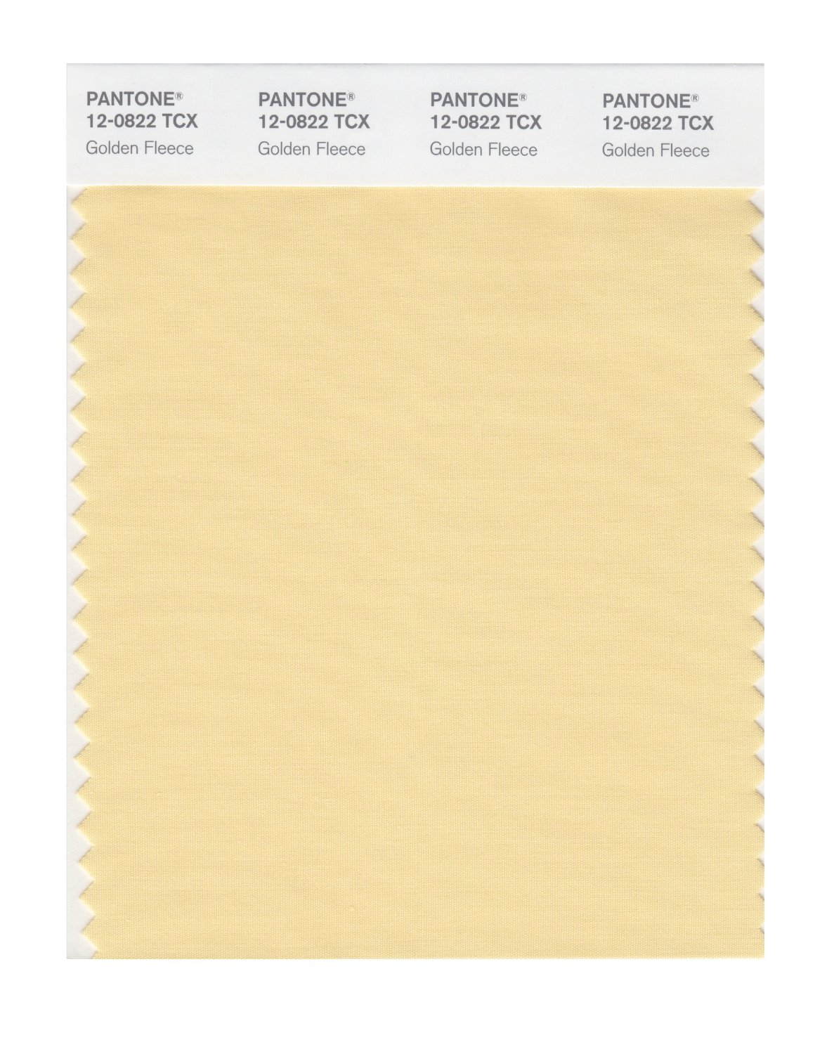 Pantone Cotton Swatch 12-0822 Golden Fleece