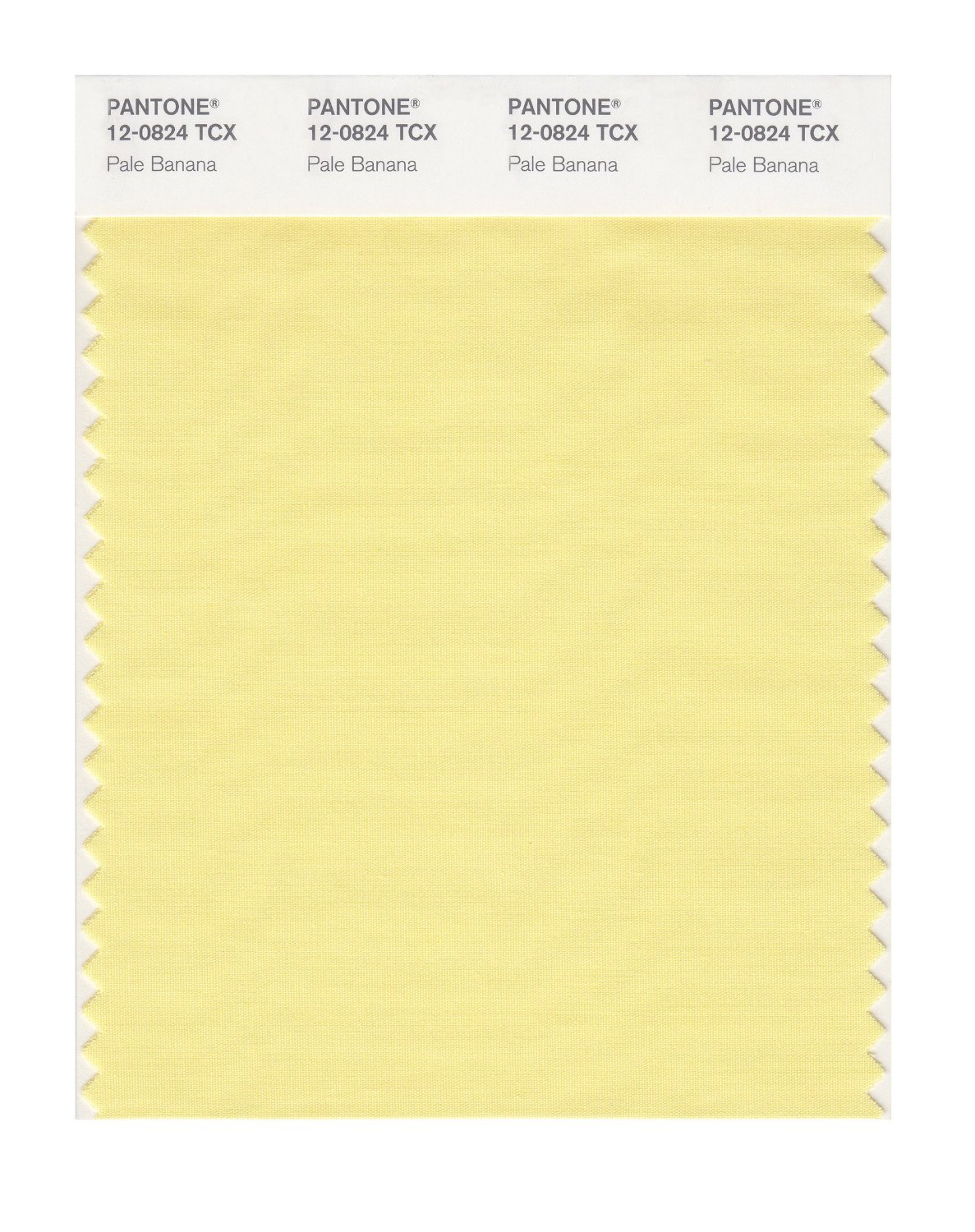 Pantone Cotton Swatch 12-0824 Pale Banana