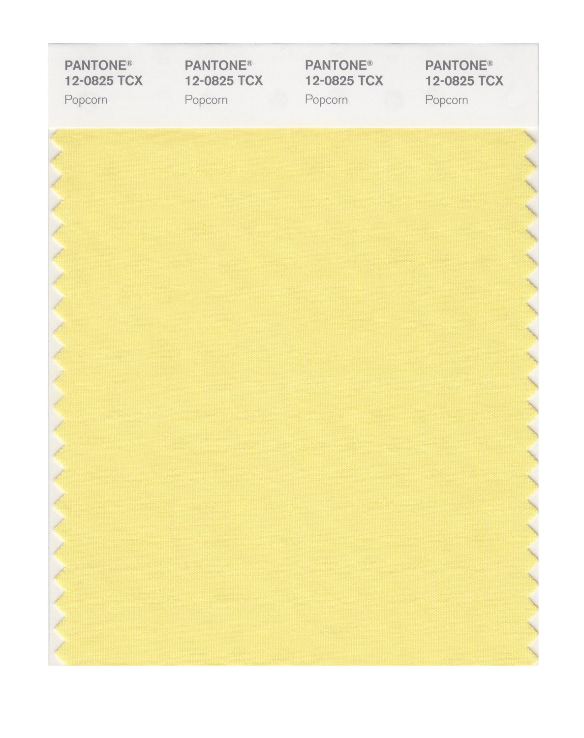 Pantone Cotton Swatch 12-0825 Popcorn