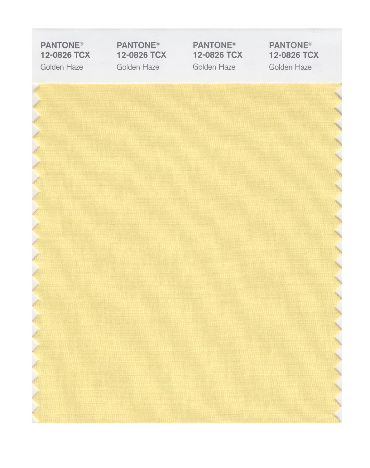 Pantone Cotton Swatch 12-0826 Golden Haze