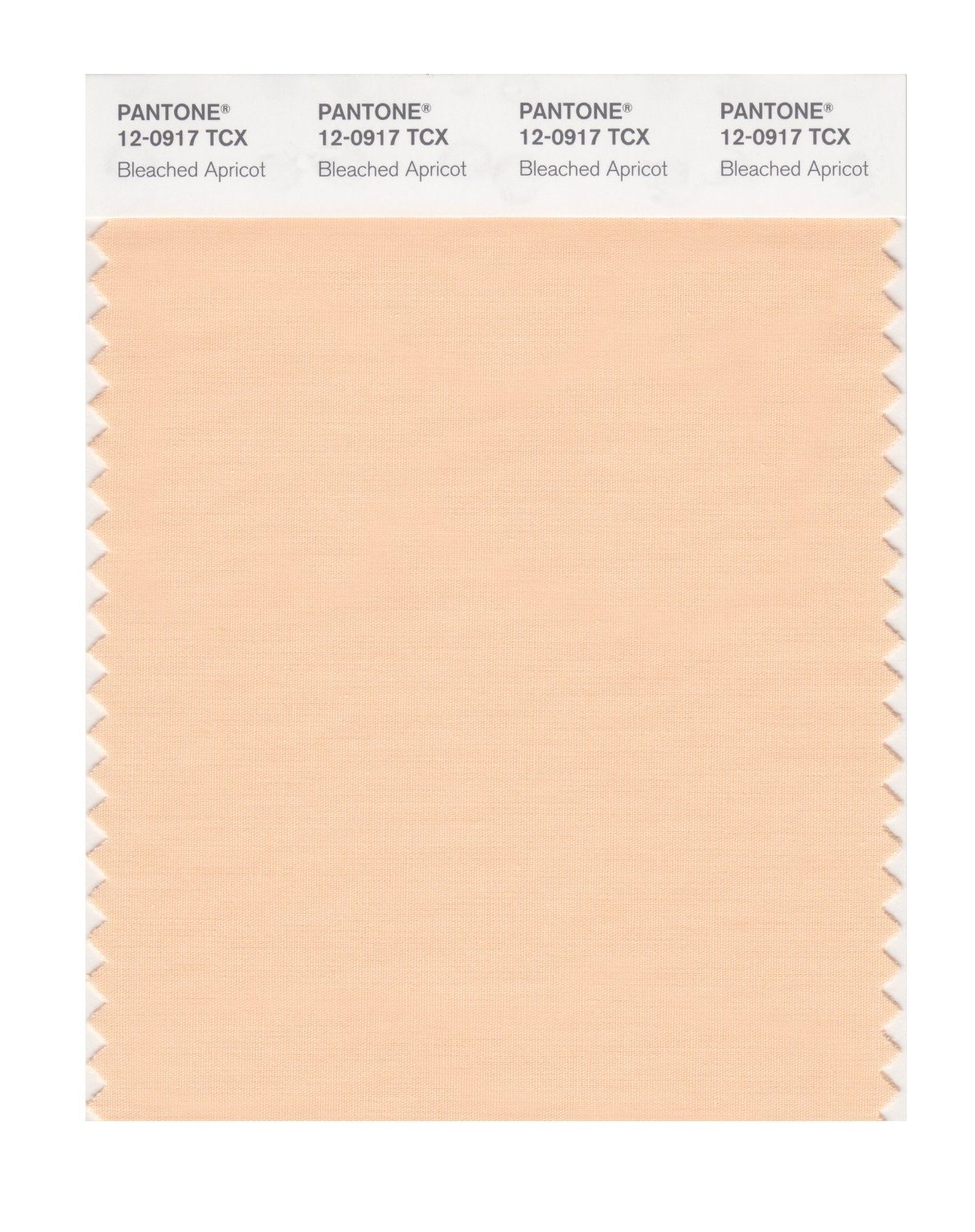 Pantone Cotton Swatch 12-0917 Bleach Apricot