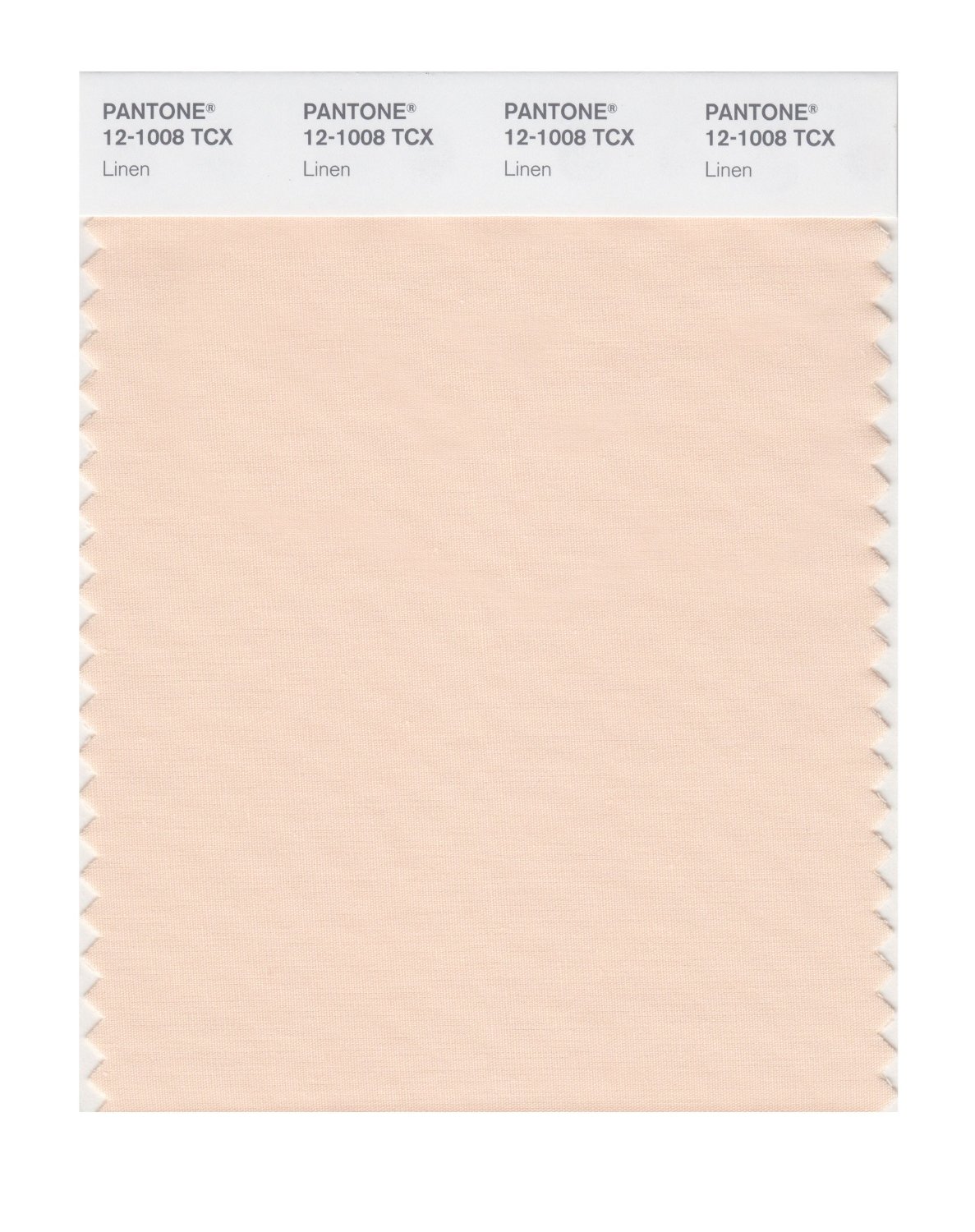 Pantone Cotton Swatch 12-1008 Linen