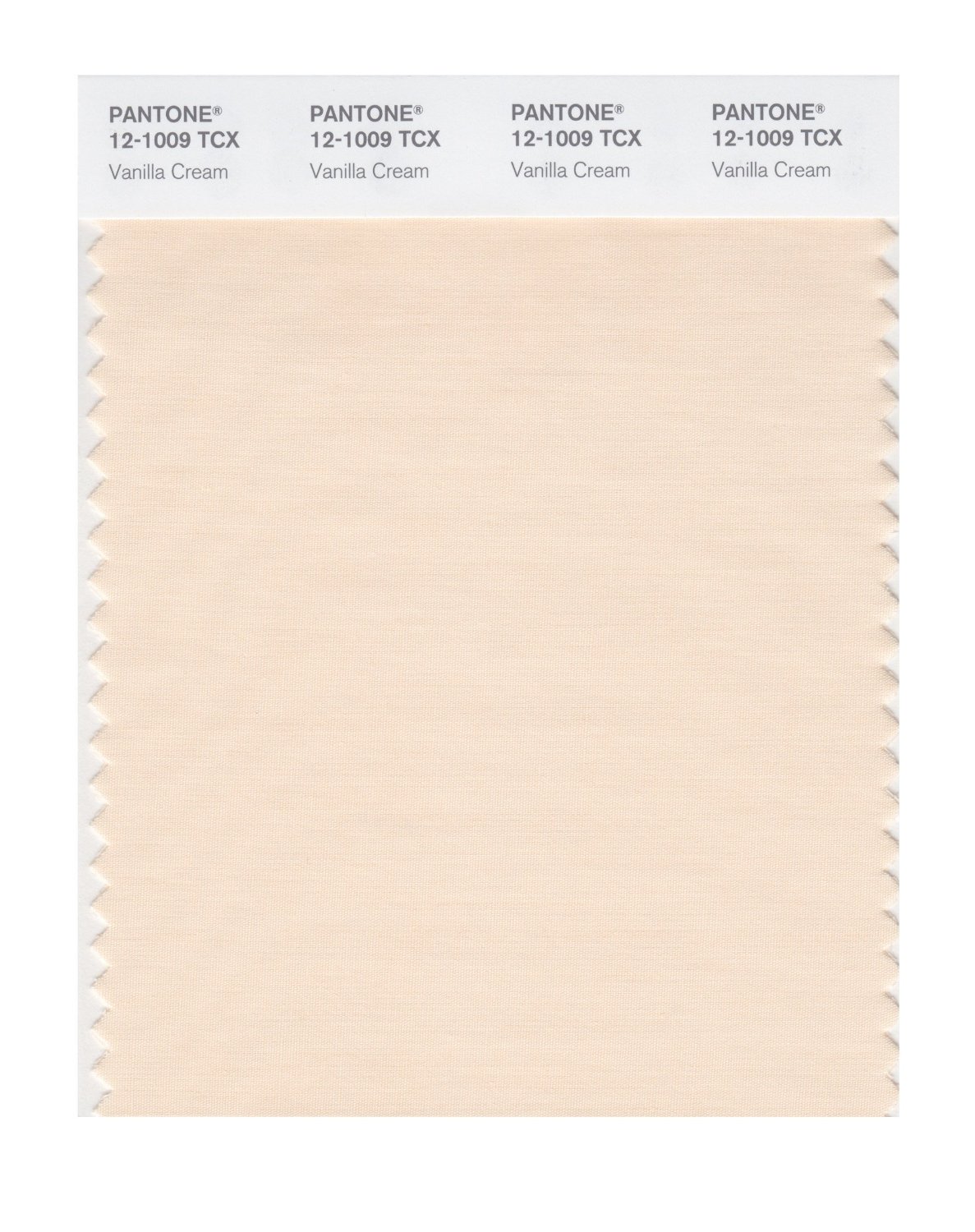 Pantone Cotton Swatch 12-1009 Vanilla Cream