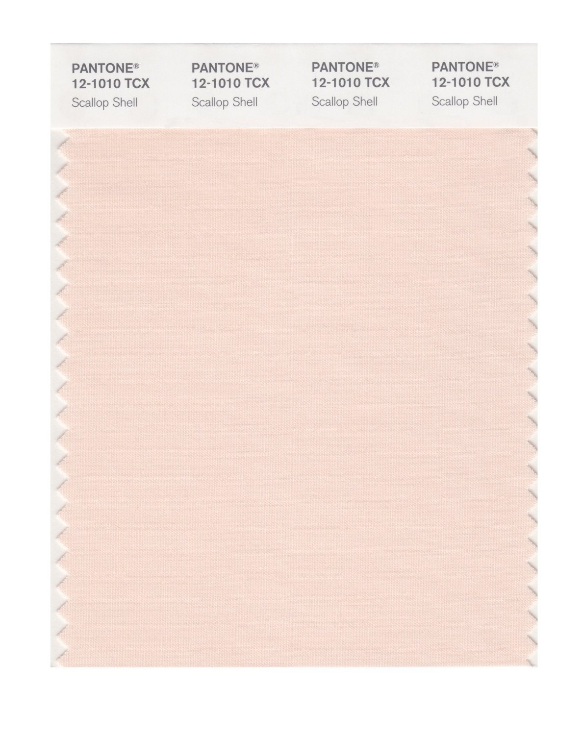 Pantone Cotton Swatch 12-1010 Scallop Shell