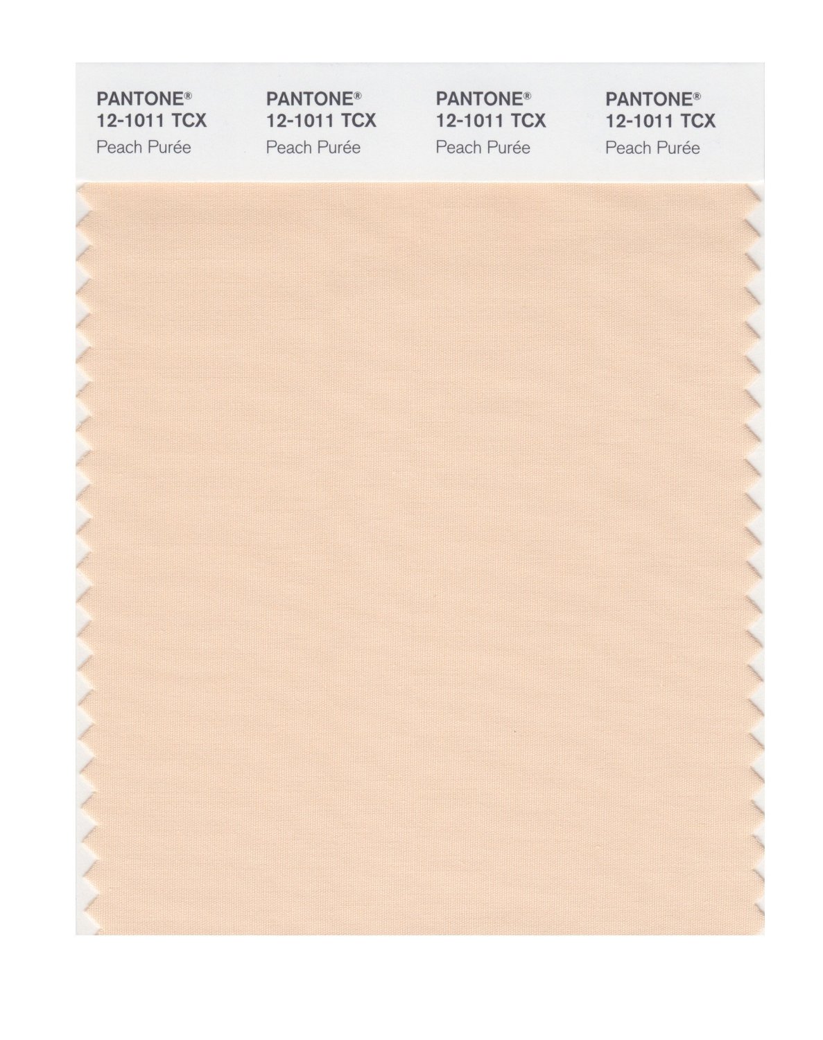 Pantone Cotton Swatch 12-1011 Peach Puree