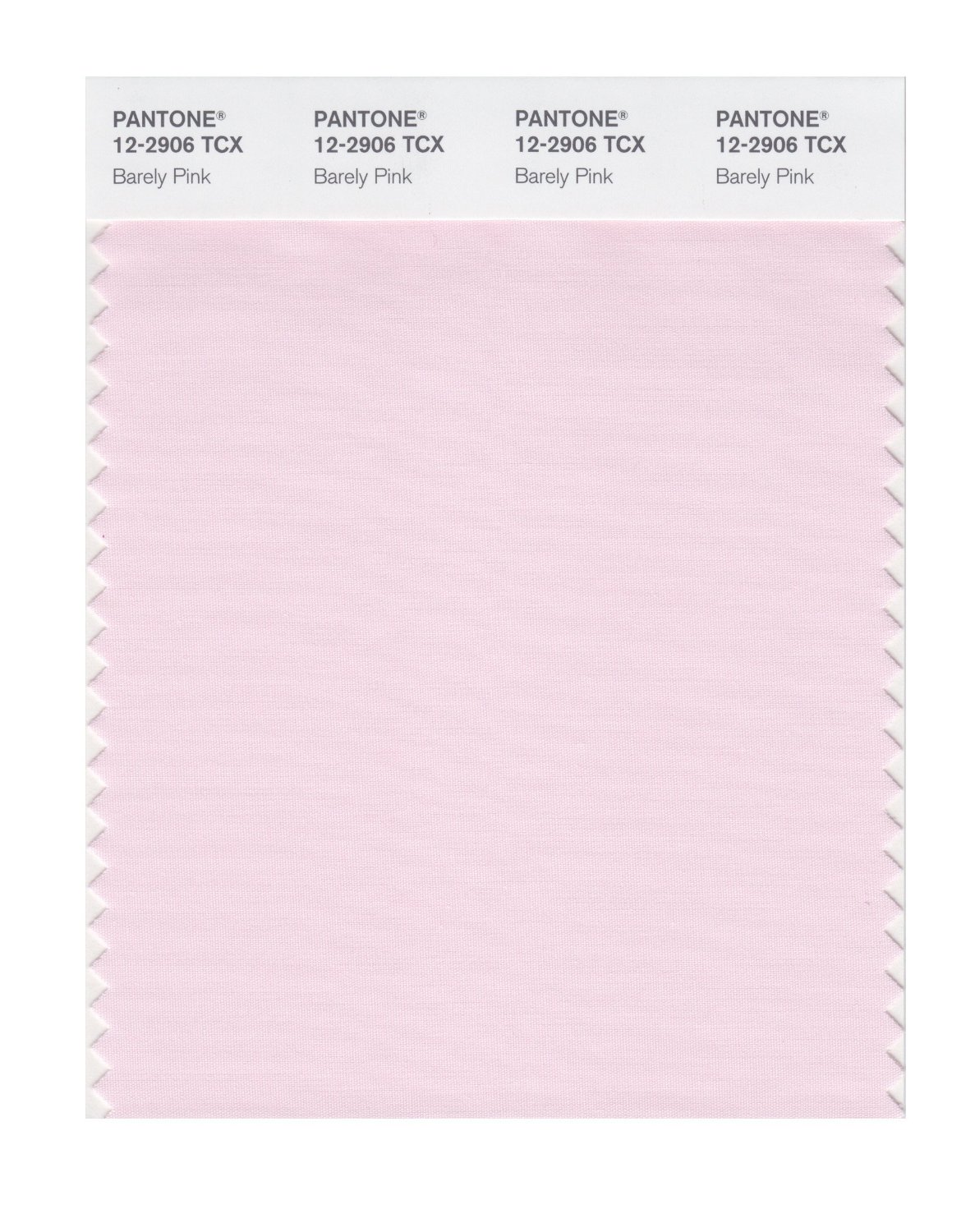 Pantone Cotton Swatch 12-2906 Barely Pink