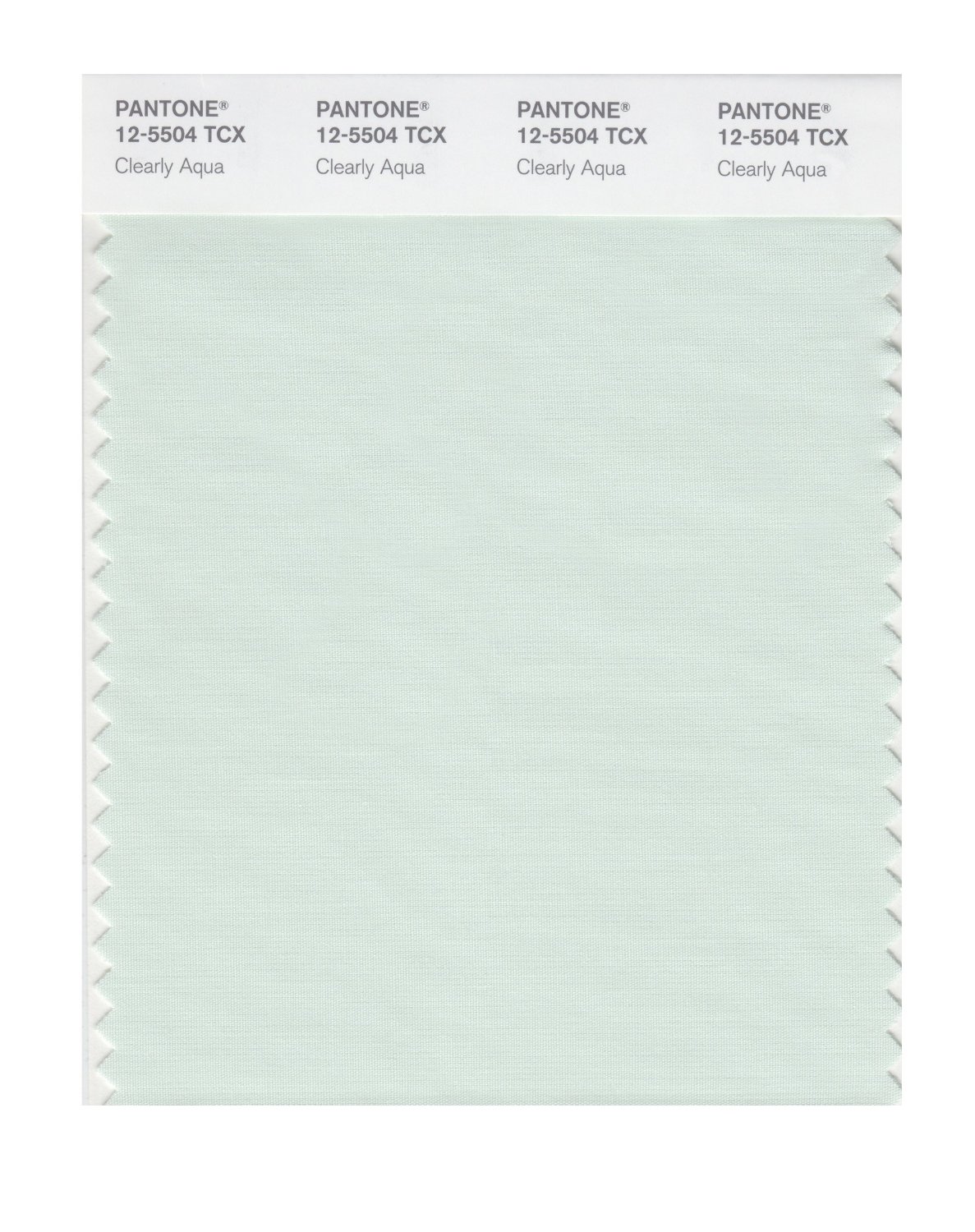 Pantone Cotton Swatch 12-5504 Clearly Aqua