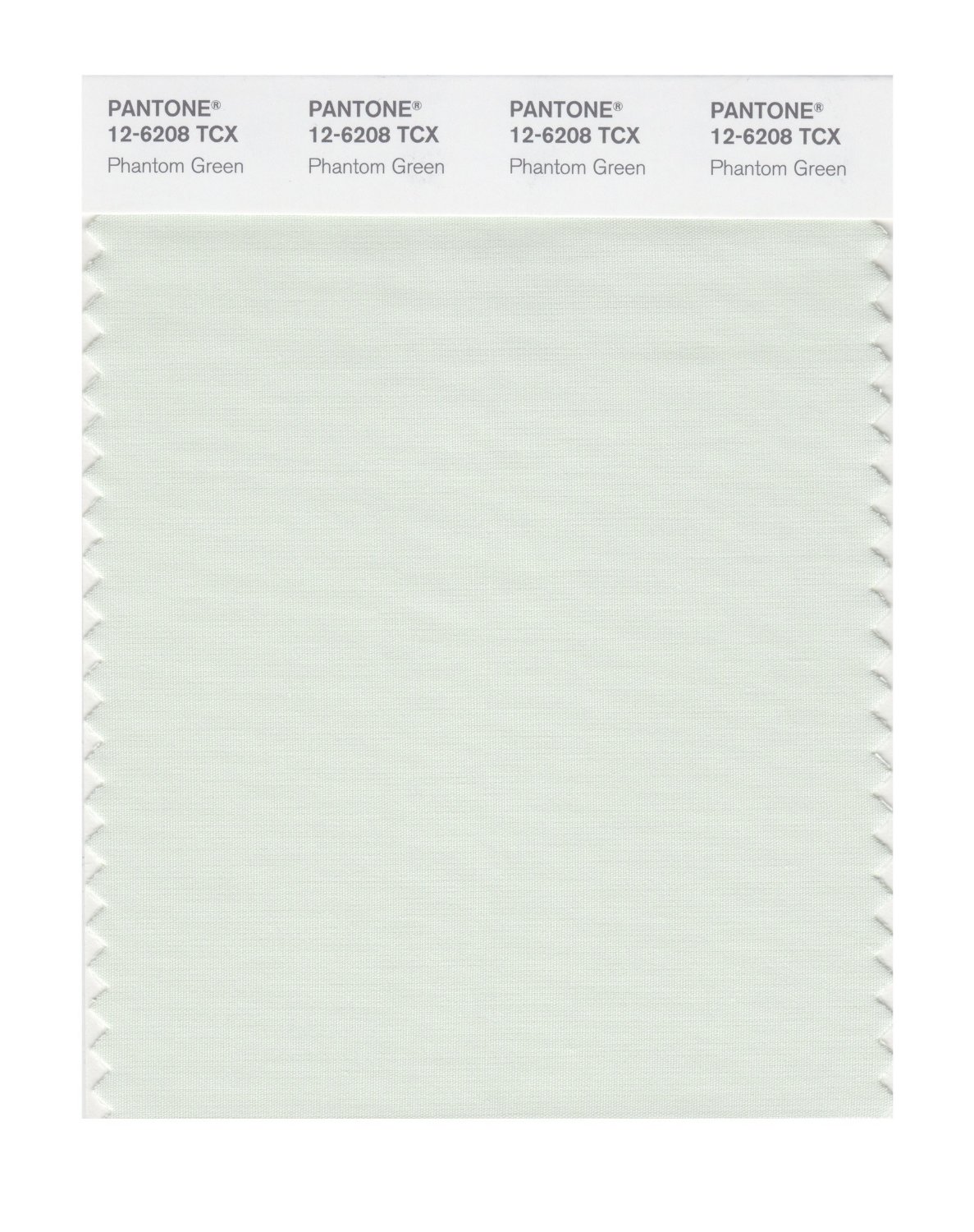 Pantone Cotton Swatch 12-6208 Phantom Green