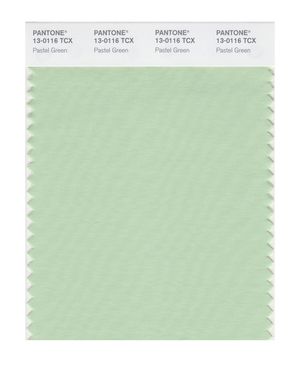 Pantone Cotton Swatch 13-0116 Pastel Green