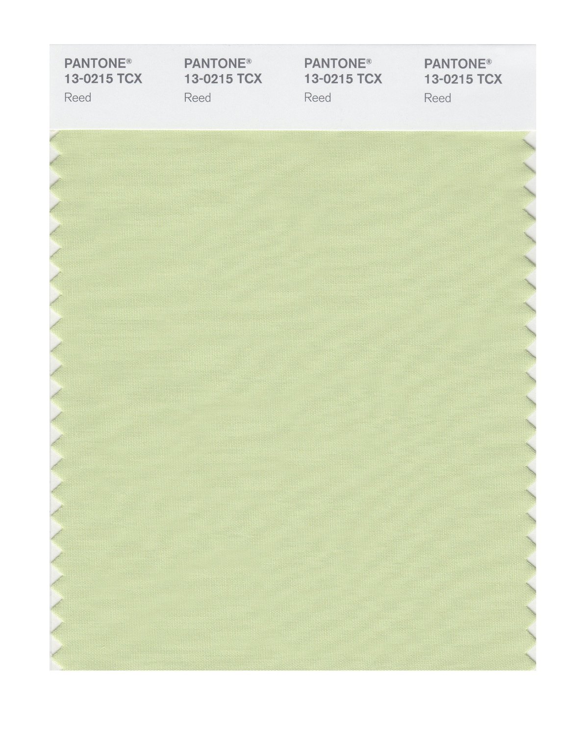 Pantone Cotton Swatch 13-0215 Reed