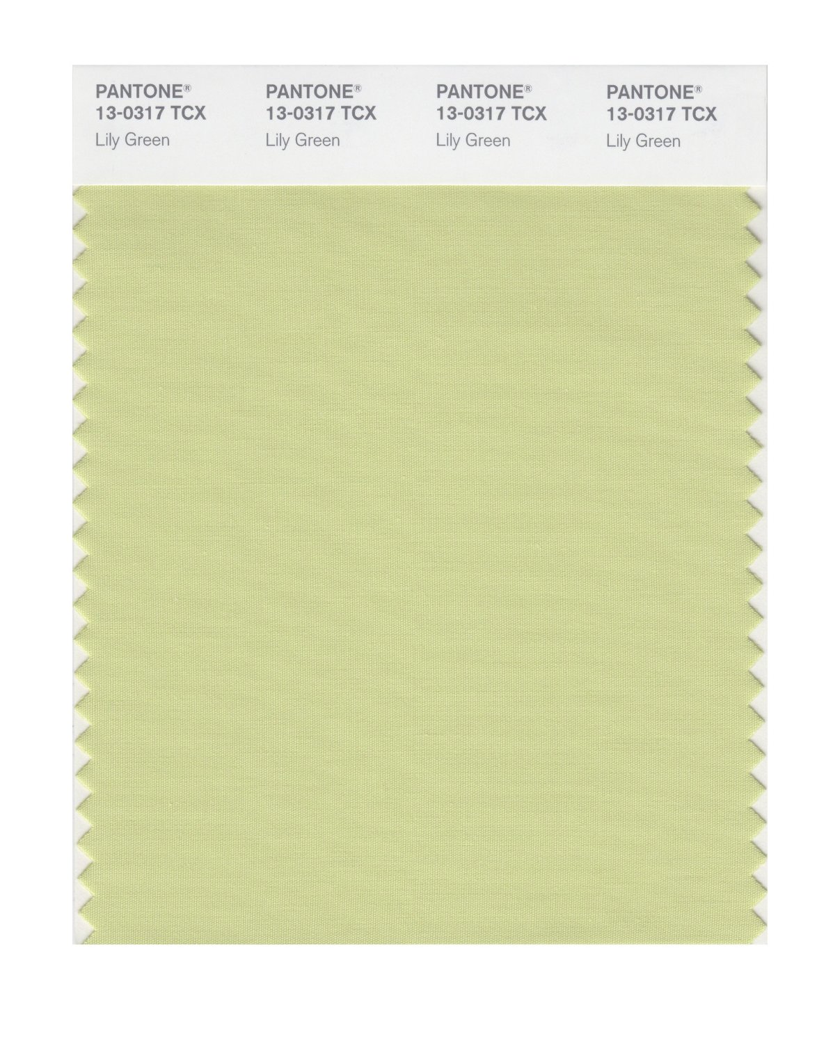 Pantone Cotton Swatch 13-0317 Lily Green