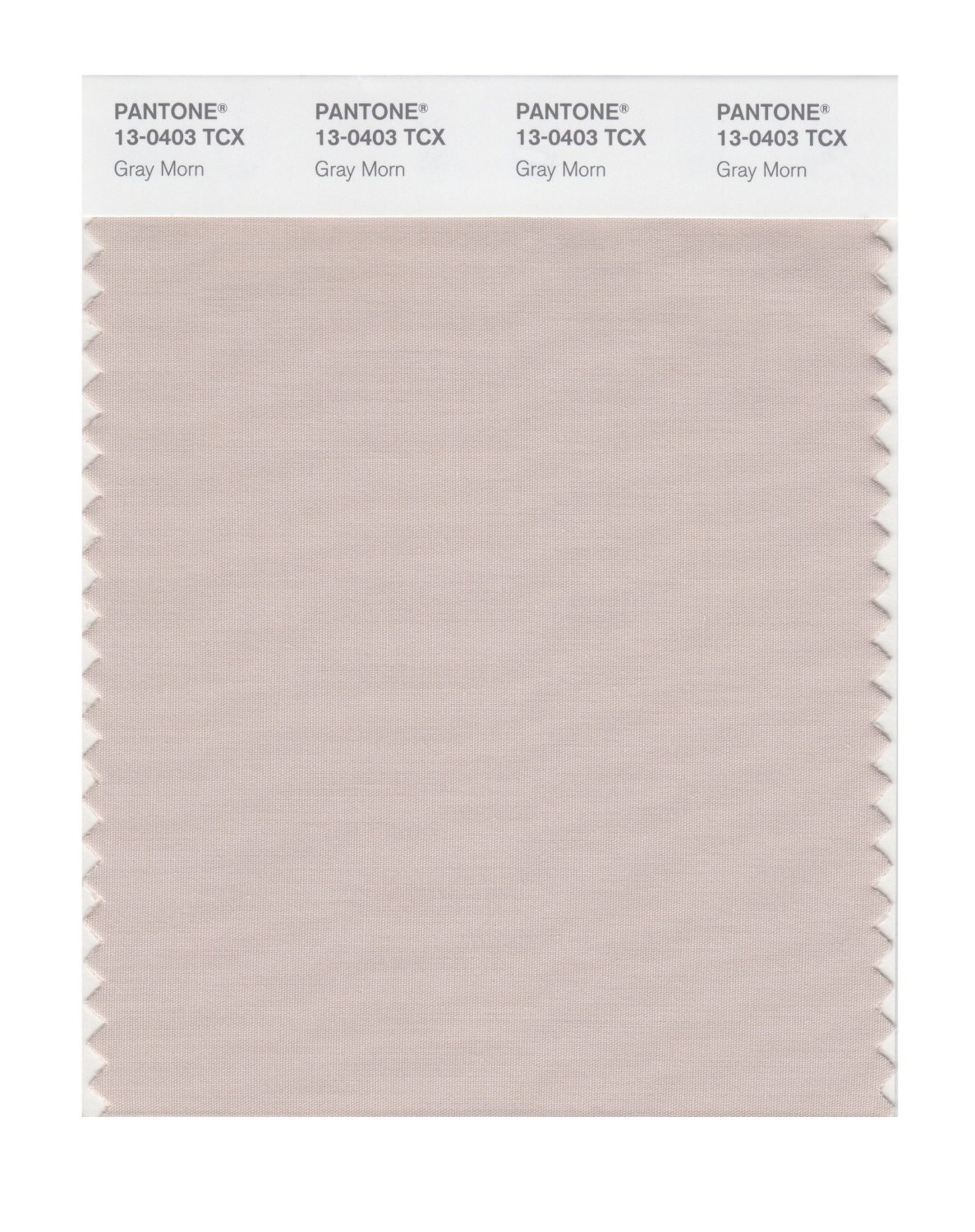 Pantone Cotton Swatch 13-0403 Gray Morn