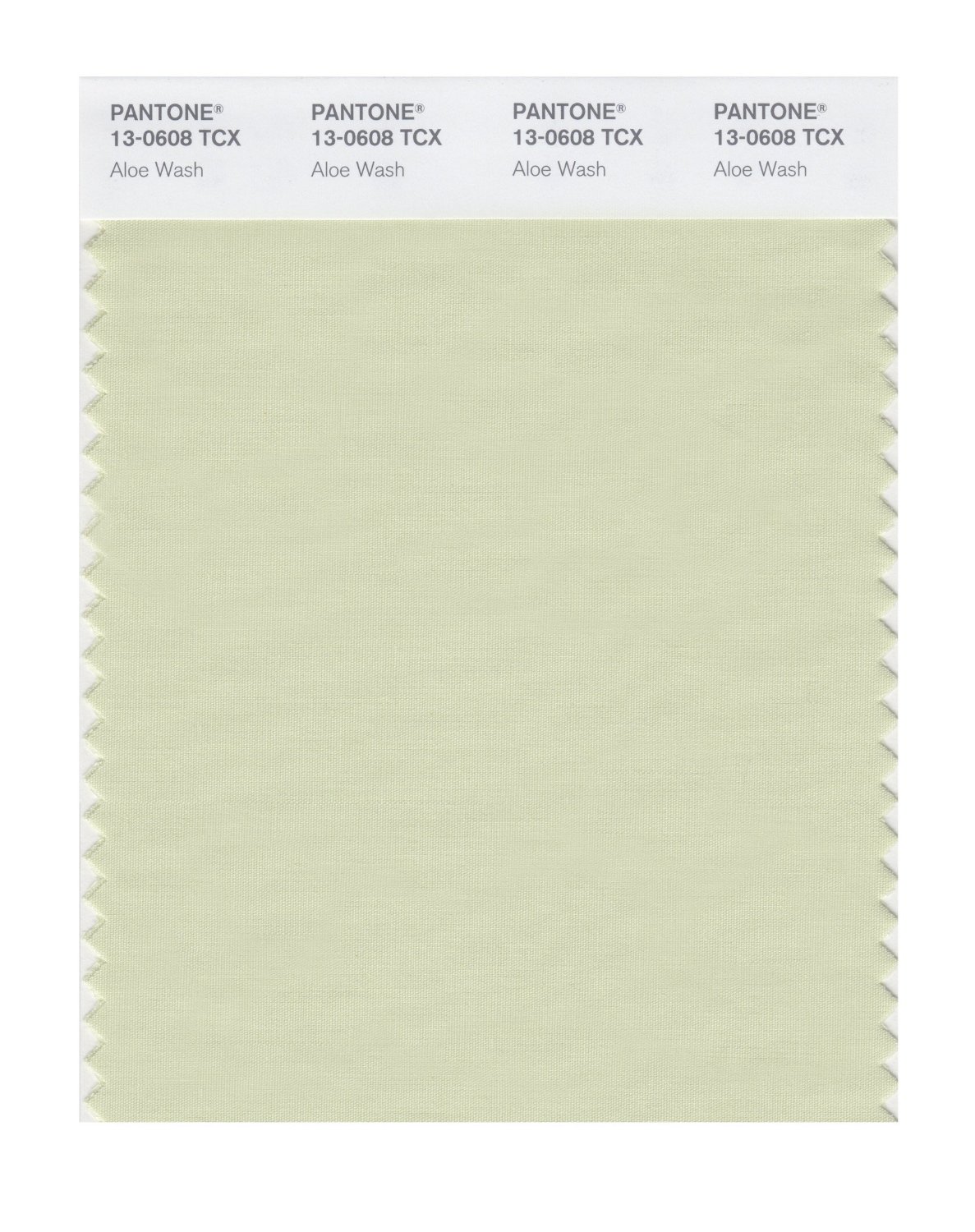 Pantone Cotton Swatch 13-0608 Aloe Wash