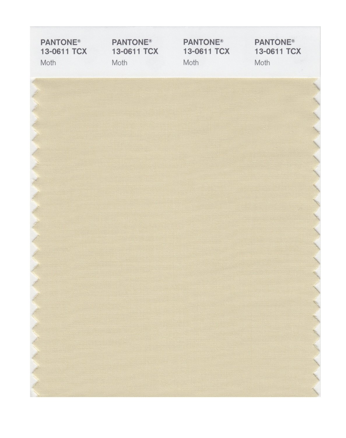 Pantone Cotton Swatch 13-0611 Moth