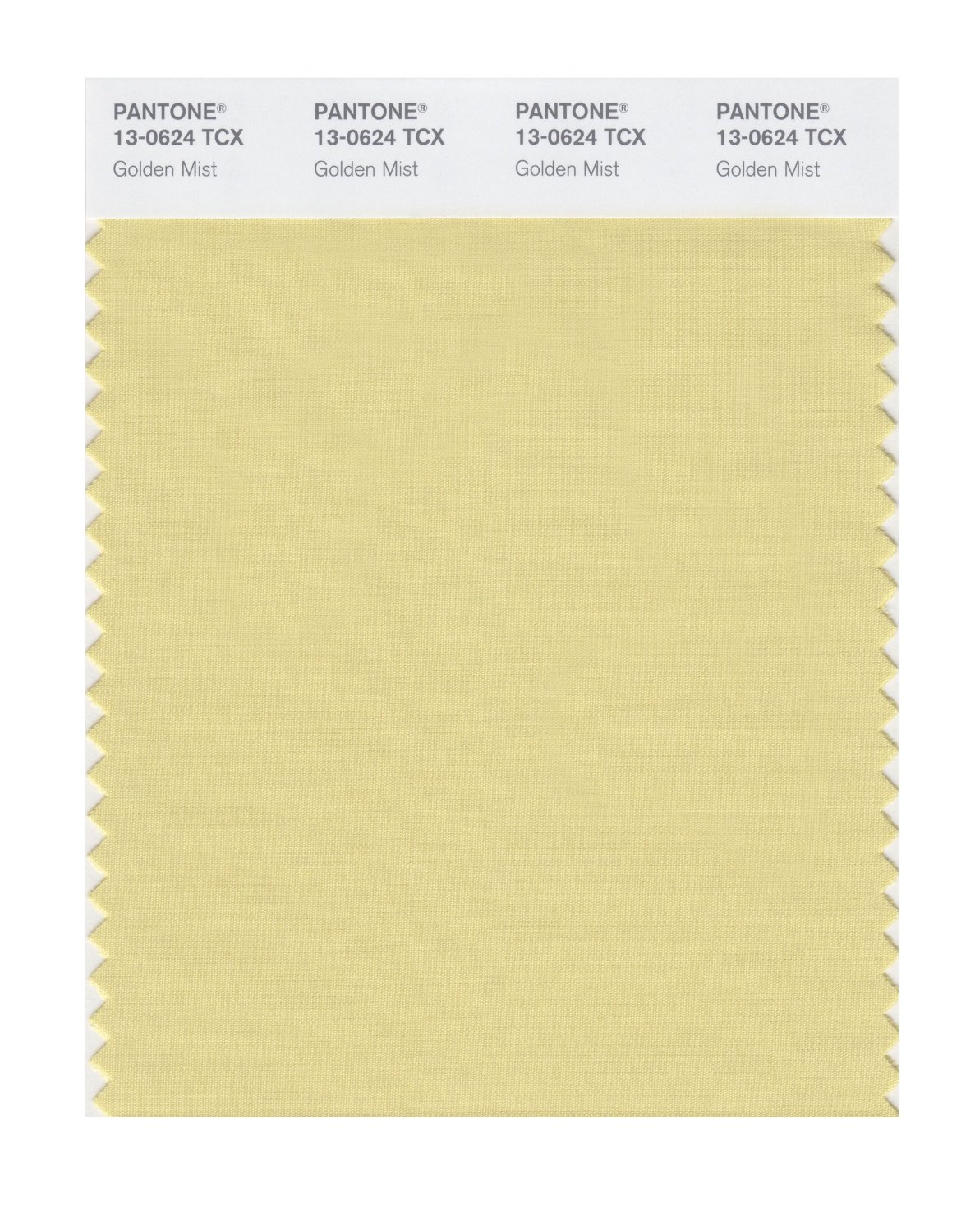 Pantone Cotton Swatch 13-0624 Golden Mist