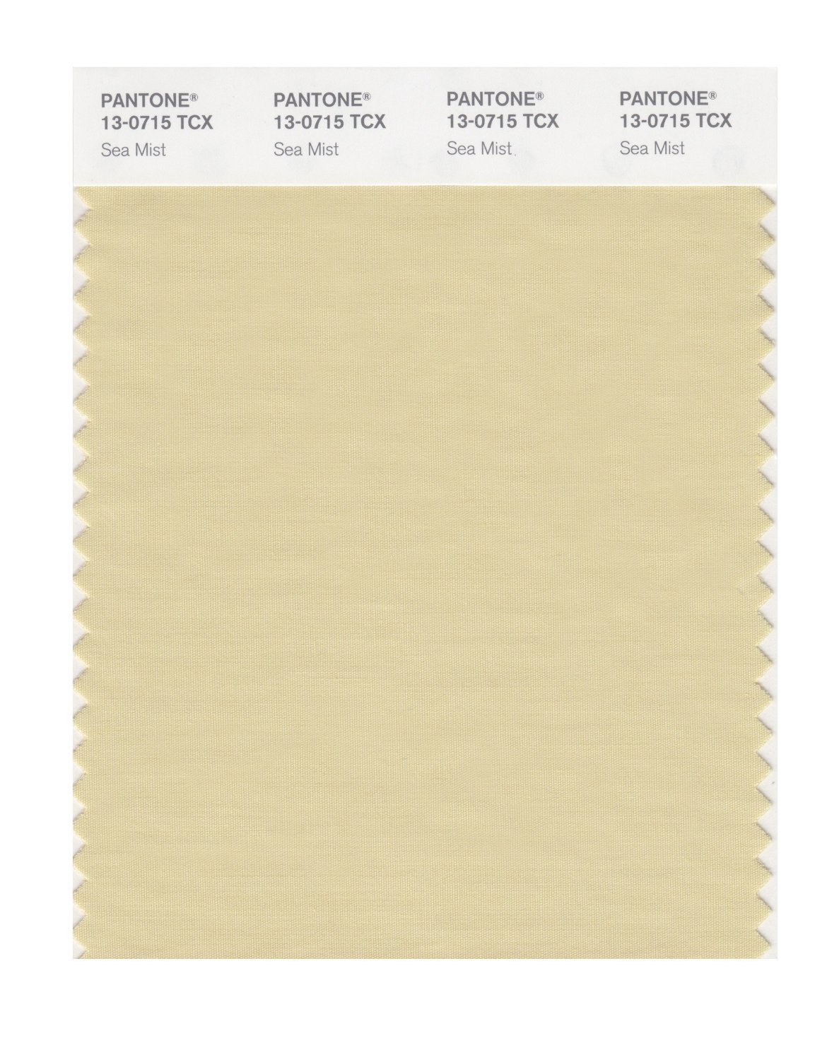 Pantone Cotton Swatch 13-0715 Sea Mist