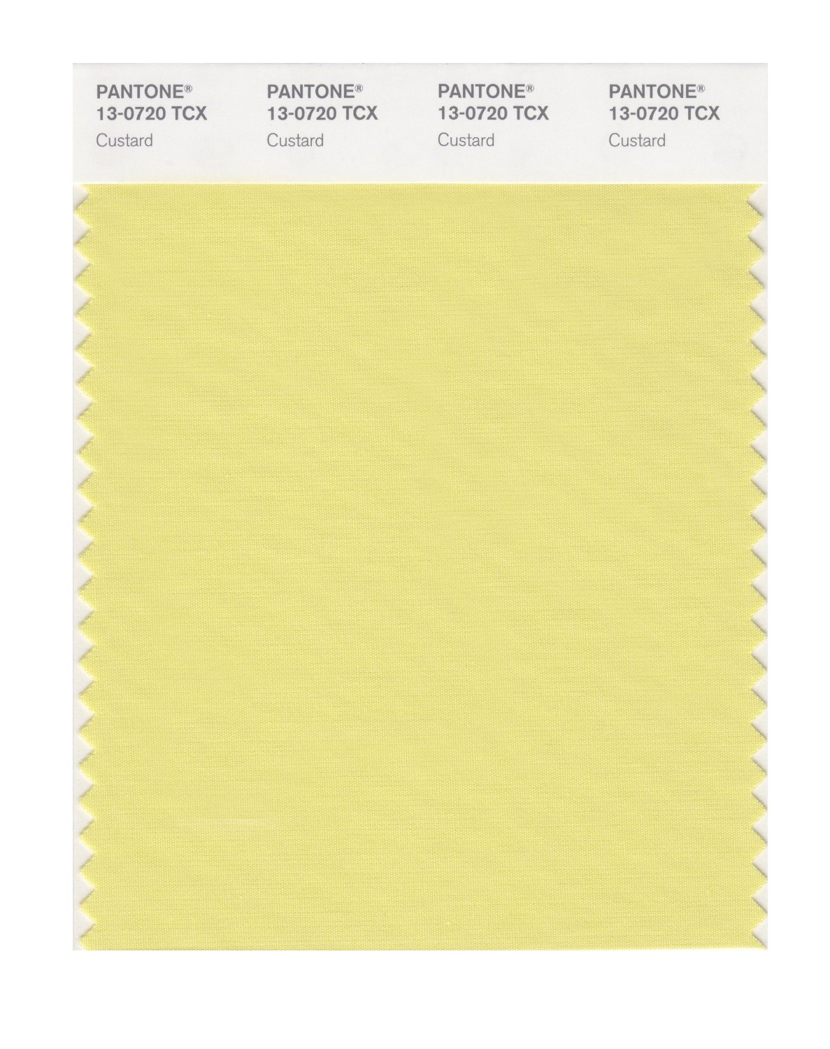 Pantone Cotton Swatch 13-0720 Custard