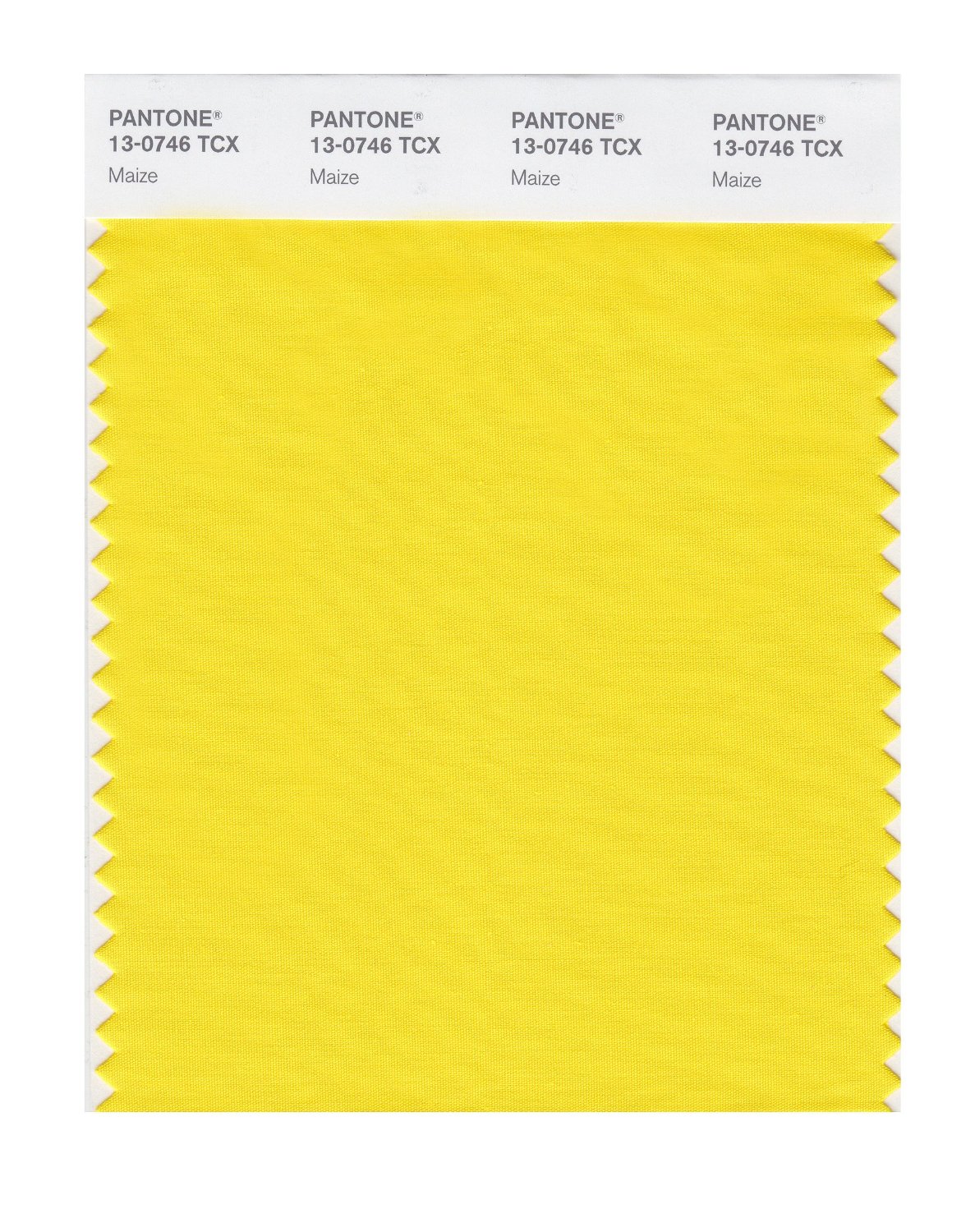 Pantone Cotton Swatch 13-0746 Maize