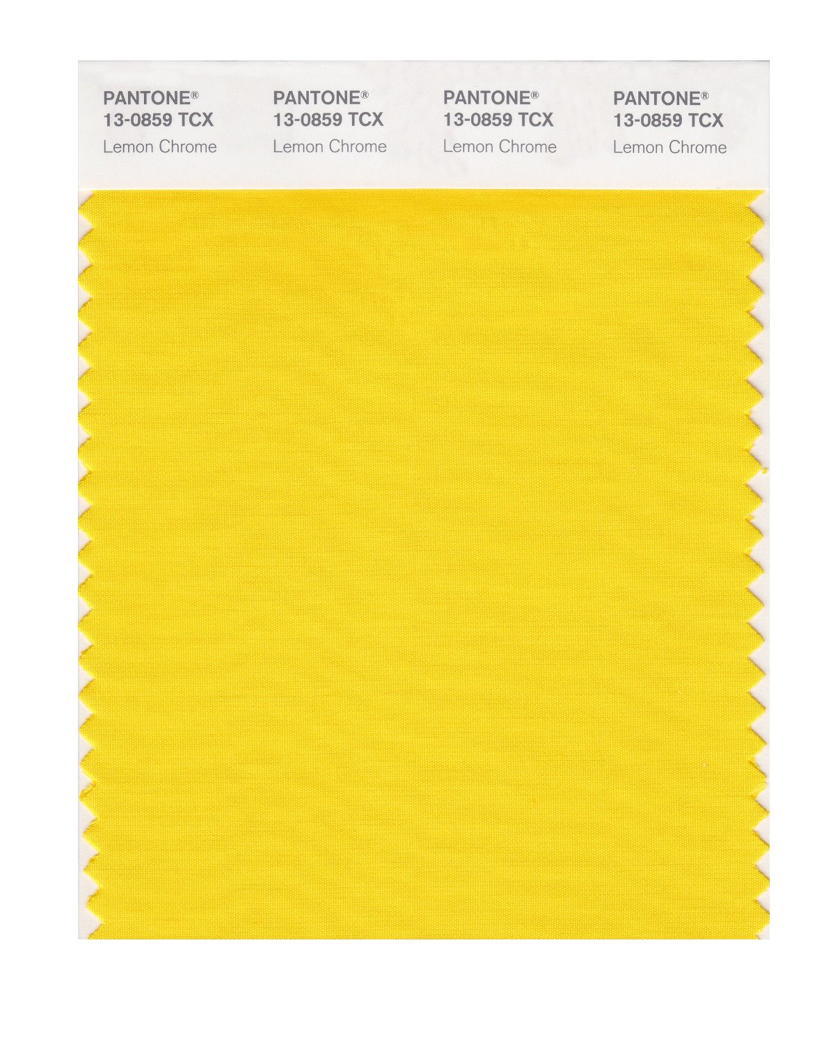 Pantone Cotton Swatch 13-0859 Lemon Chrome