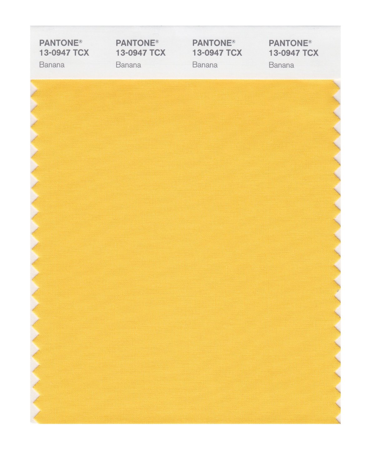 Pantone Cotton Swatch 13-0947 Banana