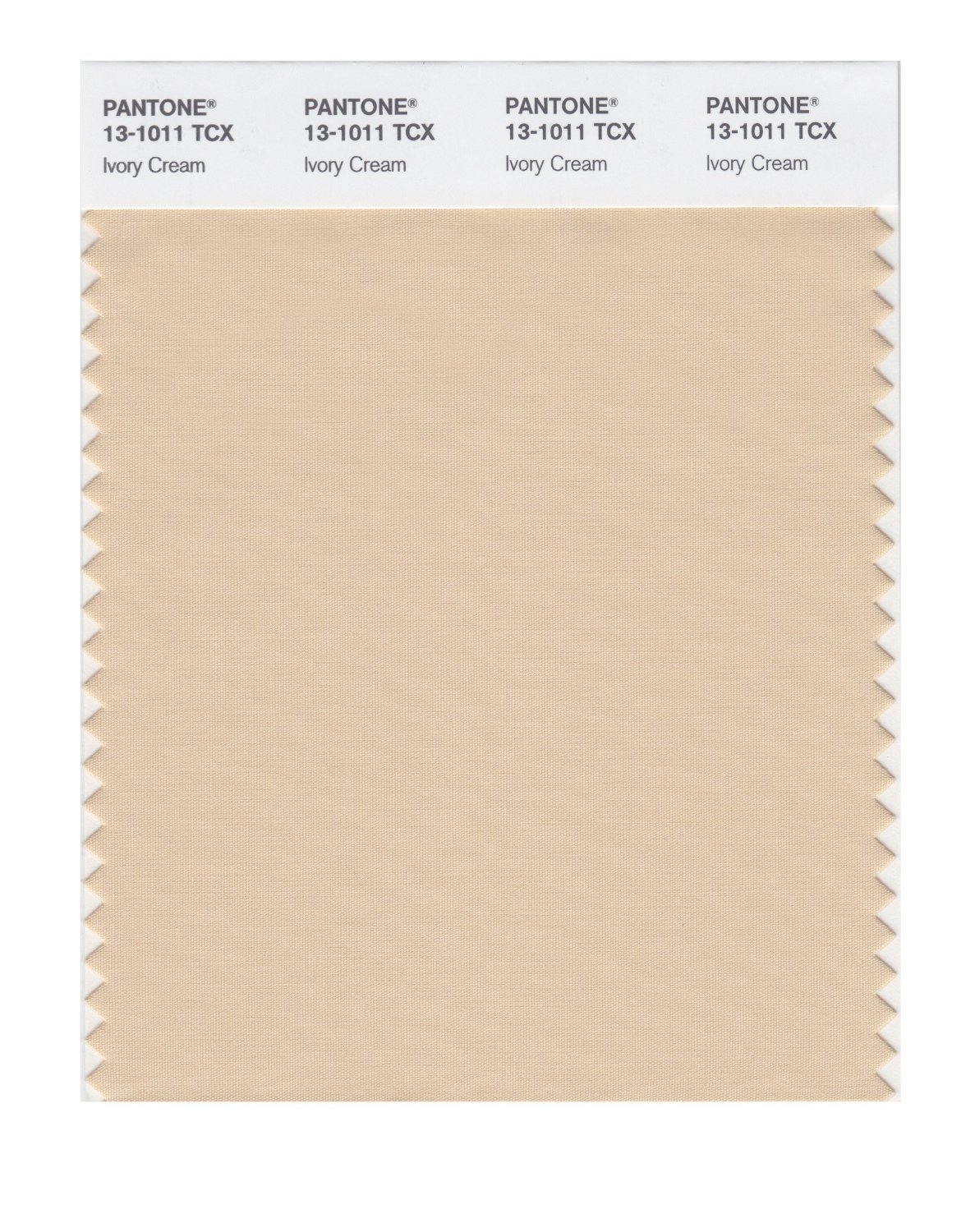 Pantone Cotton Swatch 13-1011 Ivory Cream