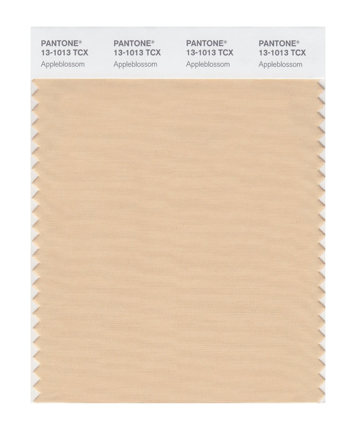 Pantone Cotton Swatch 13-1013 Appleblossom