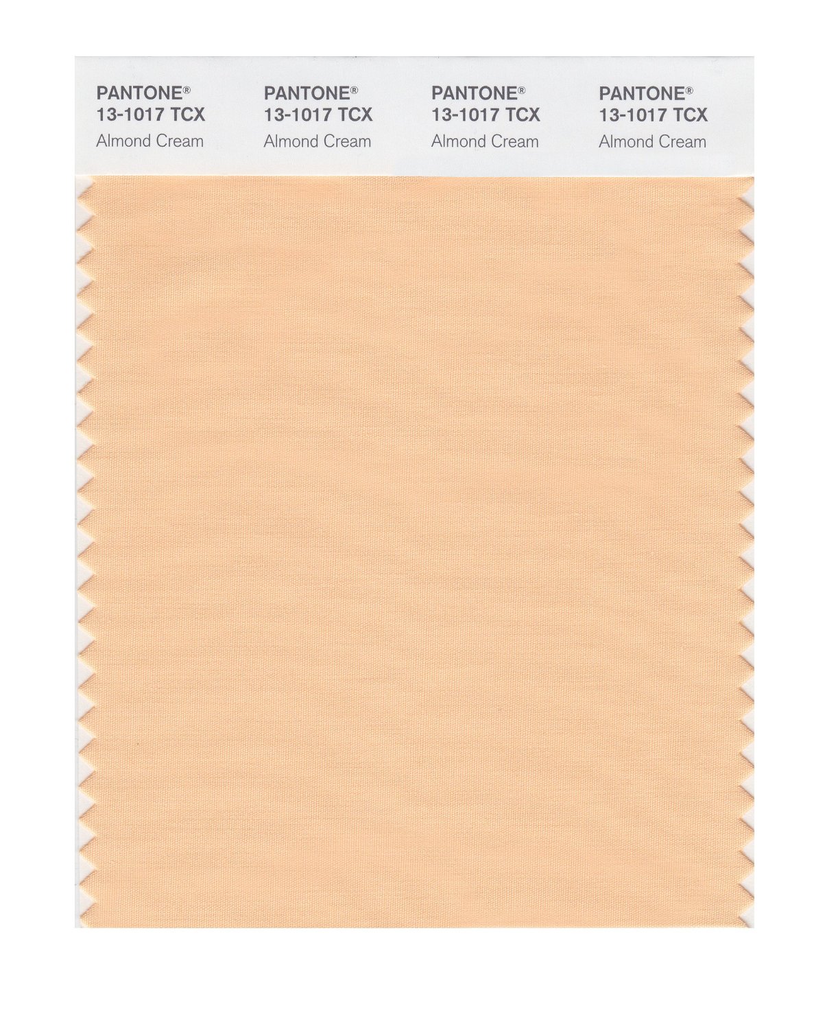 Pantone Cotton Swatch 13-1017 Almond Cream