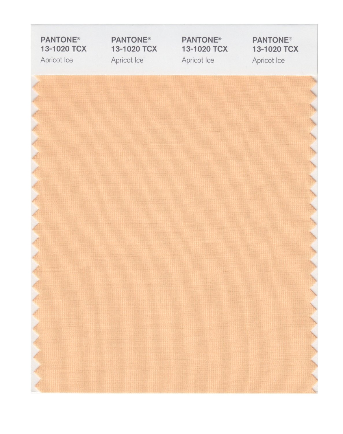 Pantone Cotton Swatch 13-1020 Apricot Ice