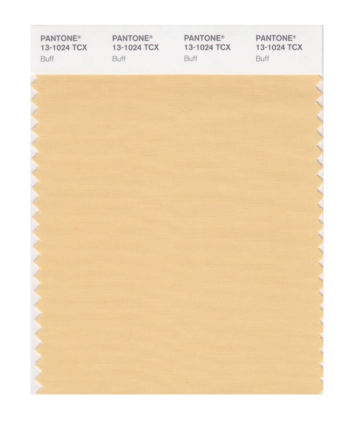 Pantone Cotton Swatch 13-1024 Buff