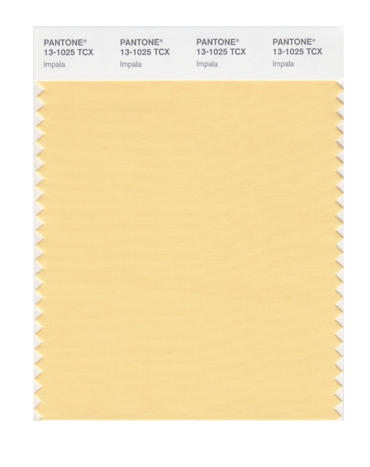 Pantone Cotton Swatch 13-1025 Impala