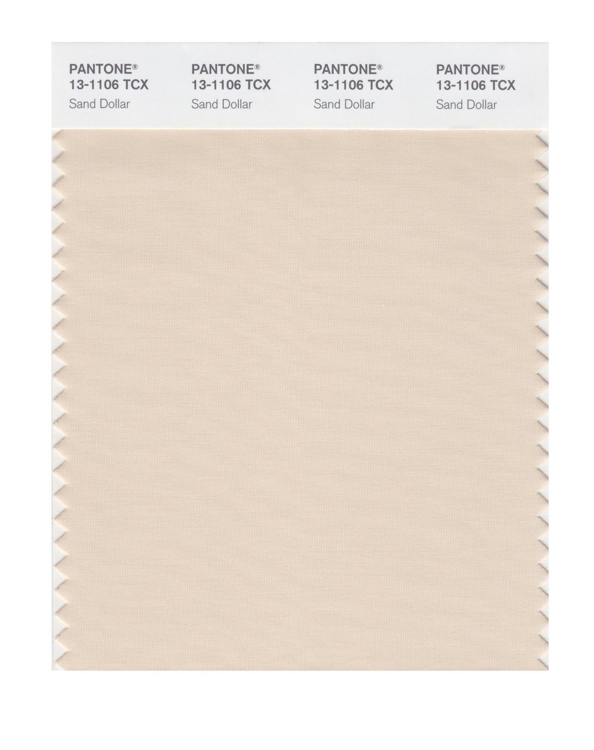 Pantone Cotton Swatch 13-1106 Sand Dollar