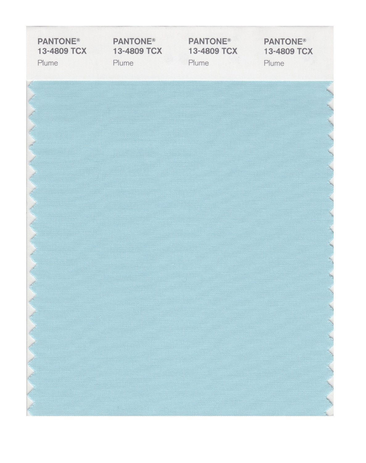 Pantone Cotton Swatch 13-4809 Plume