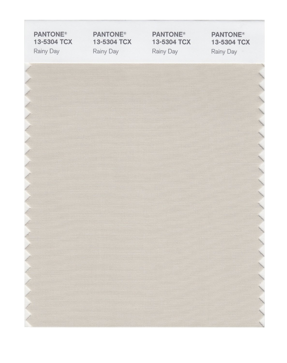 Pantone Cotton Swatch 13-5304 Rainy Day