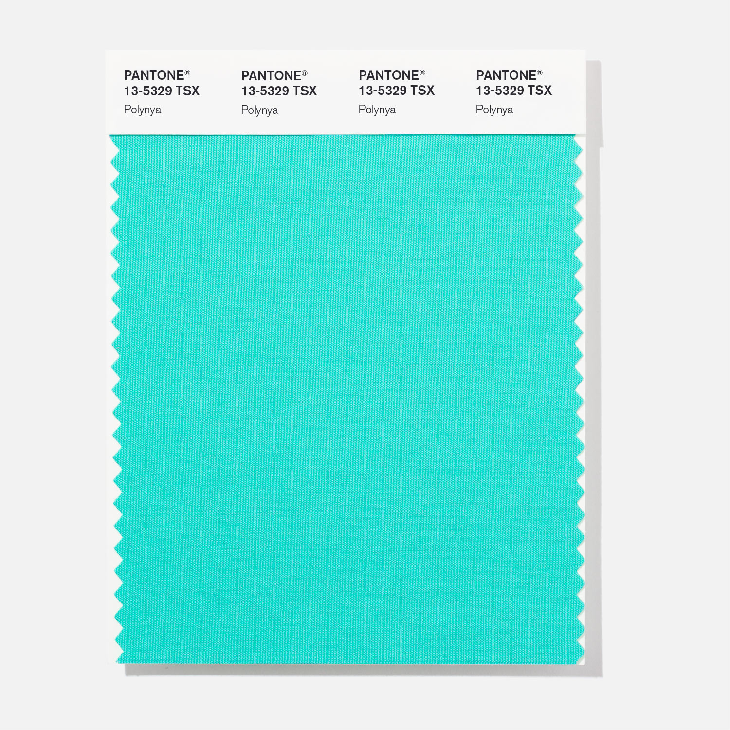 Pantone Polyester Swatch 13-5329 Polynya