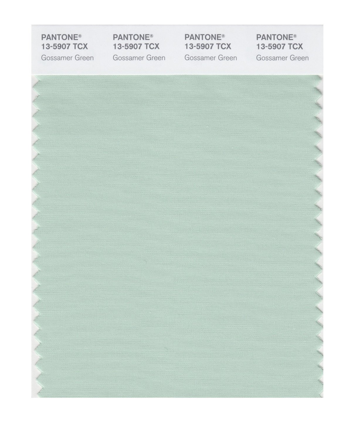 Pantone Cotton Swatch 13-5907 Gossamer Green