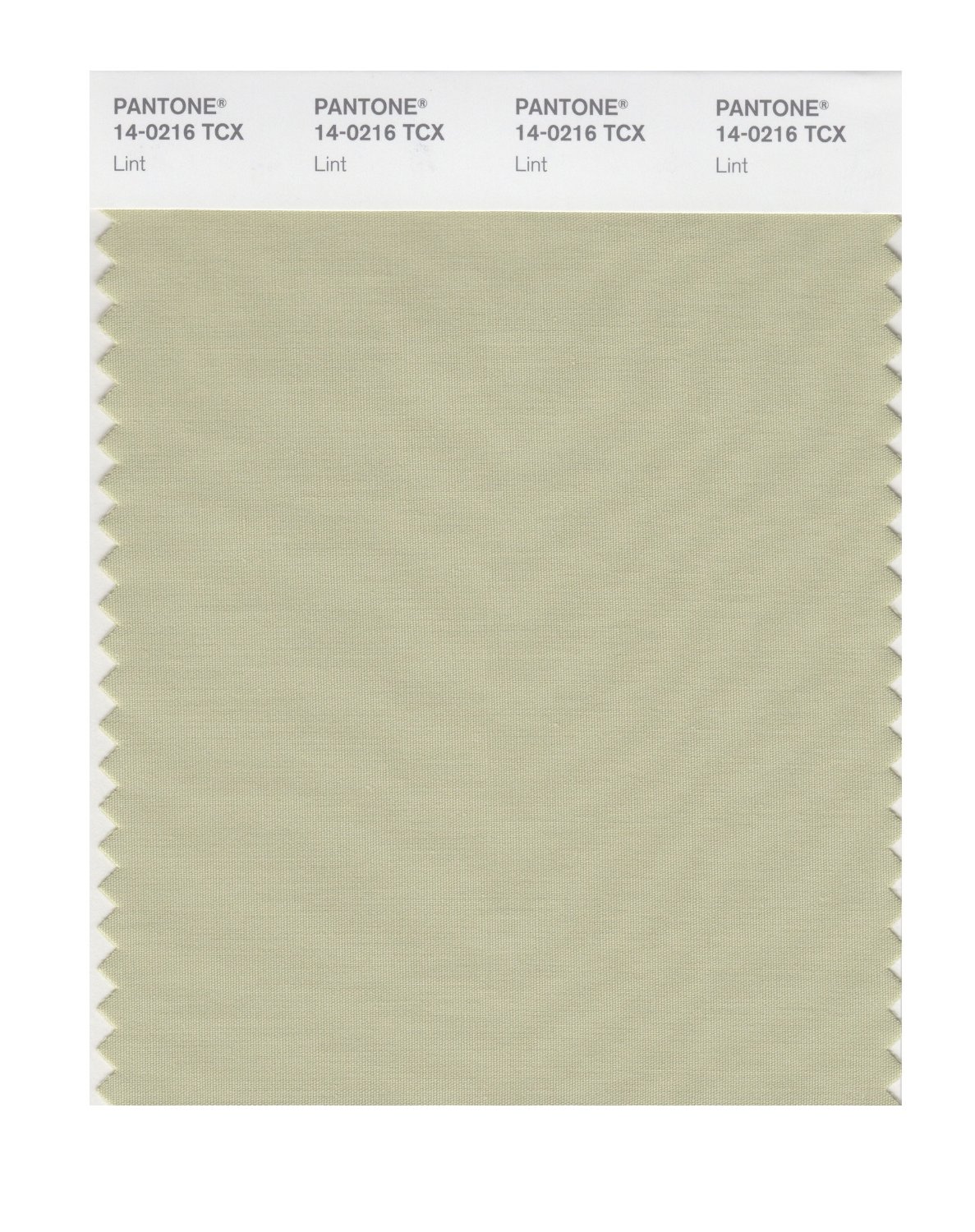 Pantone Cotton Swatch 14-0216 Lint