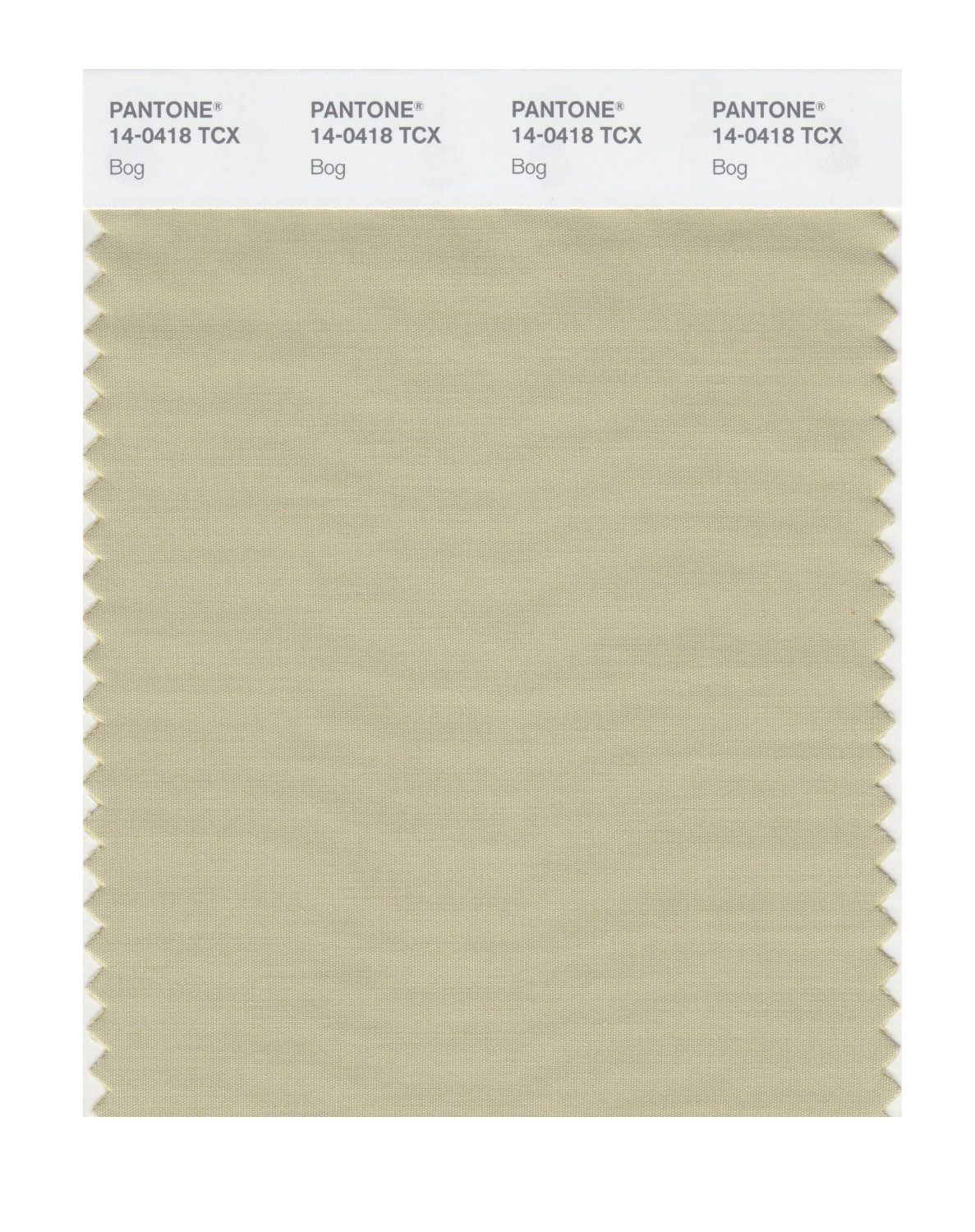 Pantone Cotton Swatch 14-0418 Bog