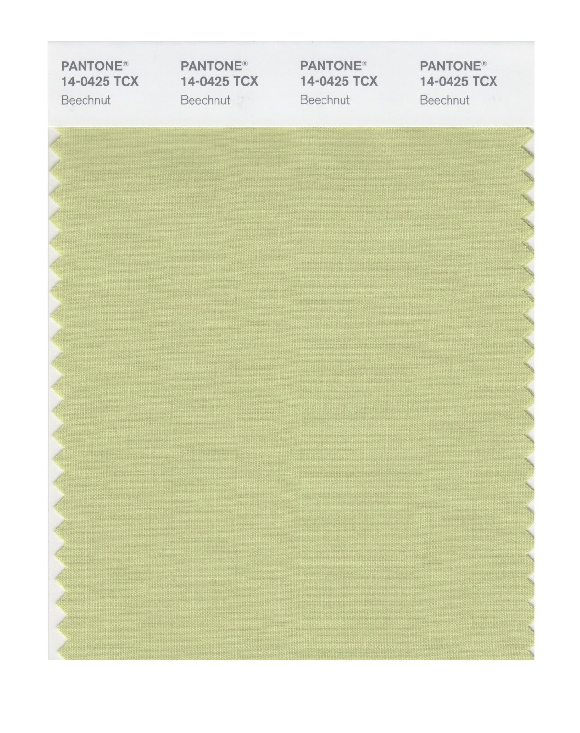 Pantone Cotton Swatch 14-0425 Beechnut