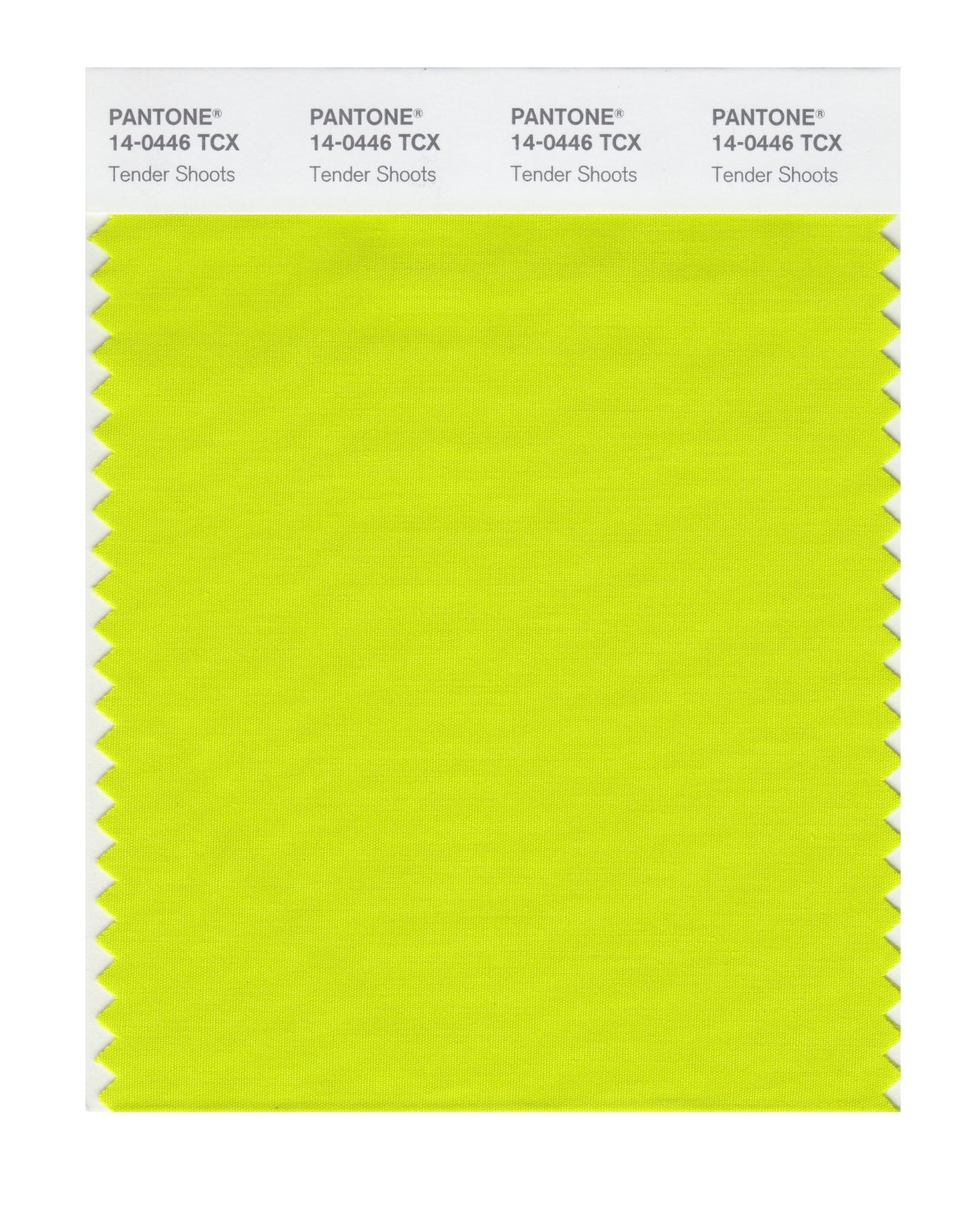 Pantone Cotton Swatch 14-0446 Tender Shoots