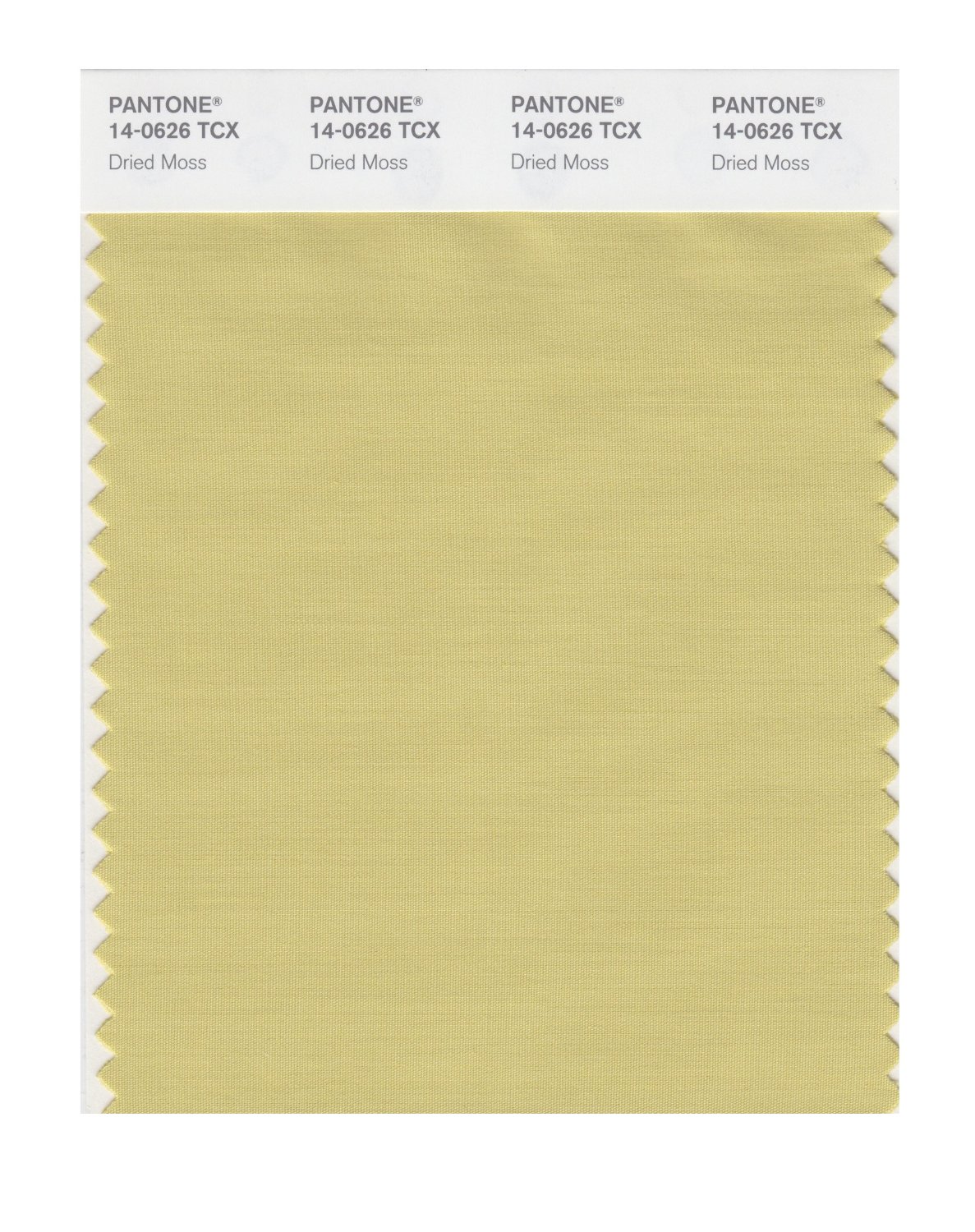 Pantone Cotton Swatch 14-0626 Dried Moss